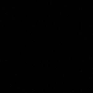 Meet your Posher, Diamond